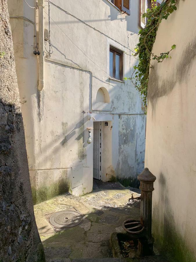 Casa Vacanze Freeholiday House 米诺利 外观 照片